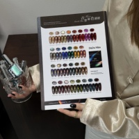 ZRKGEL – Le plus populaire : Kit de vernis à ongles gel magnétique UV effet œil de chat DU DU MISS, 28 couleurs, sans HEMA/TPO, pour salon (OEM/ODM)