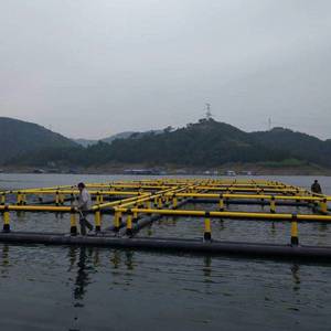 Cages flottantes pour pisciculture, ponton - Product Image 5