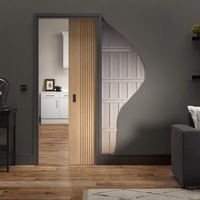 Ace Porte en verre en bois Cavité Intimité Porte coulissante en bois de poche pour portes intérieures de maison