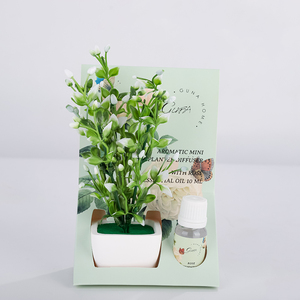 Bán Buôn Chất Lượng Cao Nhân Tạo Thực Vật Khuếch Tán Với Tinh Dầu 10Ml Gốm Đồ Dùng Nhà Hương Liệu - Product Image 4