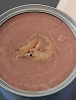 Nourriture humide pour animaux de compagnie, thon et crevettes en gelée, boîte de 400 g, riche en protéines, sans céréales, nourriture humide complète et équilibrée pour chats adultes, friandises pour chats