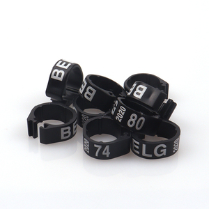 Bague <span class=keywords><strong>Oiseau</strong></span> 2023 nouvel anneau de bande de jambe d'<span class=keywords><strong>oiseau</strong></span> personnalisé 100 pièces anneaux en plastique formation d'<span class=keywords><strong>oiseau</strong></span> 300 pièces 1000 pièces anneau en plastique pour Birds24 mm - Product Image 6
