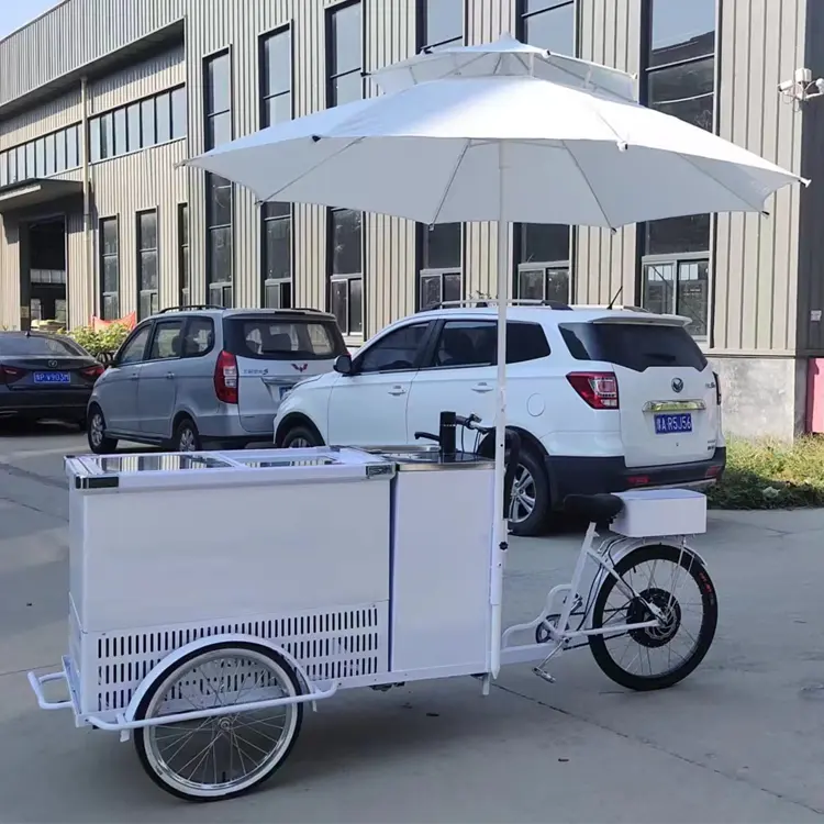 Motorized Tricycle Italian Ice Cream Bikes For Sale Mini Electric Mobile Popsicle Refrigerated Cart