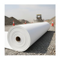 Tissu géotextile de filtration non tissé en PET, 250 g/m², anti-âge, géotextiles tissés industriels