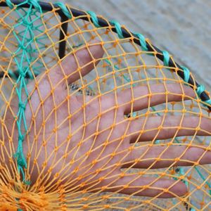 Pièges d'aquaculture, <span class=keywords><strong>cage</strong></span> ronde de filet de pêche, piège <span class=keywords><strong>à</strong></span> trois trous, dispositif de capture d'écrevisse <span class=keywords><strong>à</strong></span> <span class=keywords><strong>vendre</strong></span> - Product Image 6