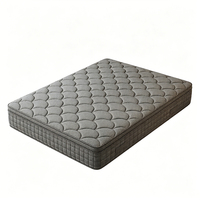 Matelas hybride durable de 10 pouces à ressorts ensachés, isolation de mouvement moderne, silencieux, idéal pour chambre à coucher, chambre d'amis, hôtel