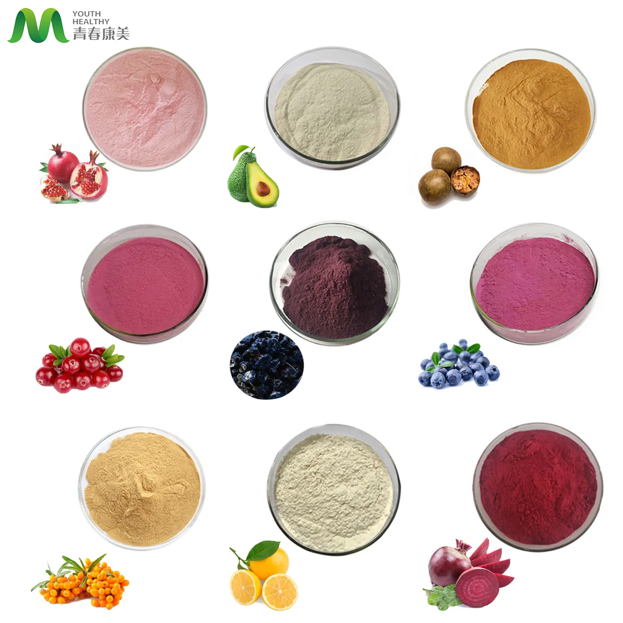 Bevanda in polvere di succo di frutta Mix biologico, polvere di Mix di Super frutti