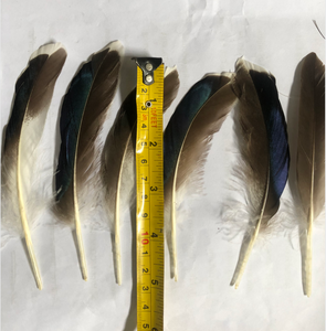 Tự Làm Thủ Công Mặt Dây Hỗn Hợp Nhiều Màu Vịt Lông Nhuộm Màu Đỏ Bộ Lông Cho Đồ Trang Sức Phụ Kiện - Product Image 3