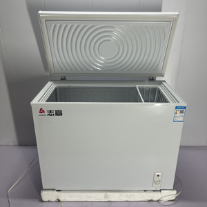 Offre Spéciale Congélateur Coffre Horizontal de 268 L, Grande Capacité, Porte Unique à Ouverture par le Haut, Froid Négatif - Product Image 1