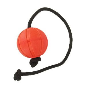 Giocattolo Galleggiante per Cani in EVA Ecologico OEM e ODM, Palla con Corda Resistente ai Morsi, Anello da Trazione al Gusto di Pollo per Addestramento Animali Domestici - Product Image 2
