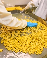 Complément Alimentaire OEM/ODM GABA L-Théanine Vitamine B6 en Comprimés 650mg par Comprimé 90 Comprimés Marque Privée Formule Personnalisée Vente en Gros
