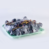 Hoge kwaliteit wegwerp plastic PET schuimtray voor vers voedselverpakkingen, vlees, supermarkt opbergdozen