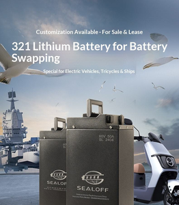 20Ah 80Ah verwisselbare LiFePO4-batterij voor 2-wiel EV APP Smart System Bluetooth Betrouwbare prestaties Lange levensduur - Product Image 2