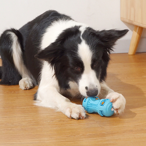 Best-seller - Jouet en caoutchouc pour chien en forme d'os pour le nettoyage des dents et la dentition - Product Image 5