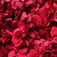 Hoogwaardige gedroogde hortensia bloemblaadjes, biologisch afbreekbaar, roze hortensia bloemblaadjes voor bruiloftconfetti, zeep- en kaarsen maken, geconserveerde bloemen