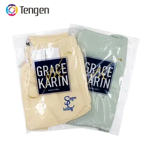 Tengen Hot Sale Plastic Packaging Garment Poly Bag Clear Frosted Ziplock Sealable Bags