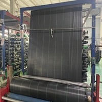 Géotextile tissé en PP stabilisé aux UV, couverture de sol agricole, tapis anti-herbe pour le contrôle des mauvaises herbes, rouleau de tissu noir pour les plantes