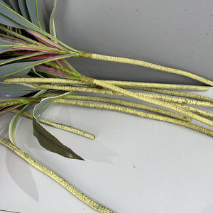 Planta Artificial de Dracaena Realista de 80 cm, <span class=keywords><strong>Hojas</strong></span> de Látex Arcoíris, Planta de Hierro para Decoración de Interiores y Exteriores, <span class=keywords><strong>Precio</strong></span> al por Mayor - Product Image 6