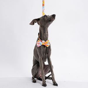 Juego de arnés reversible para perro <span class=keywords><strong>galgo</strong></span> con logotipo personalizado de lujo y juego de correa con collar con bolsa, pajarita, chaleco para cachorros y juego de correa - Product Image 2