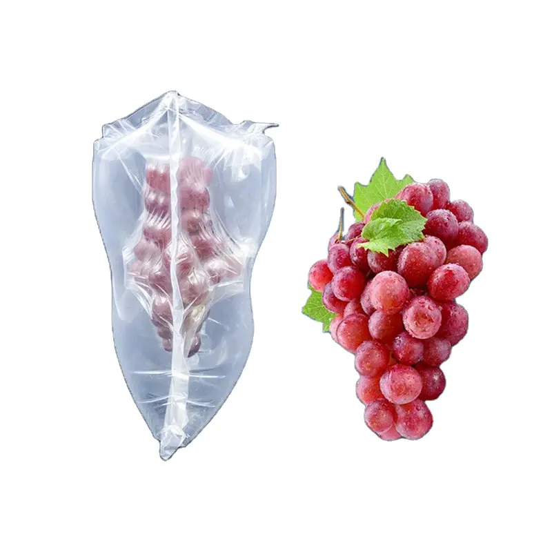 PE Inflatable Customized Size For Grape Shipping Packaging Material Air Cushions Bubble Bag