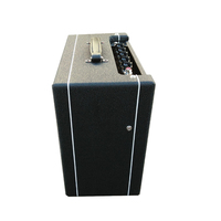 Grand amplificateur personnalisé 1*12 "30W Tube guitare Combo amplificateur Logo personnalisé Badge est disponible