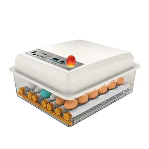Factory direct sell best price egg incubator 36 eggs automatic egg incubator
