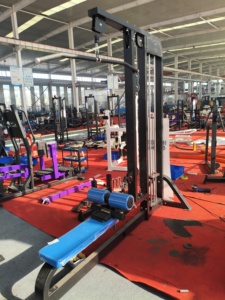 Macchina Commerciale SK Regolabile per Lat Pulldown e Long Pull, Attrezzatura in Acciaio per Allenamento Braccia, <span class=keywords><strong>Vendita</strong></span> Diretta dalla Fabbrica - Product Image 2