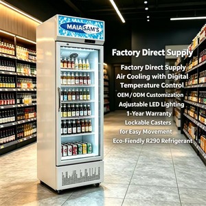 Refrigerador Mecánico de Alta Calidad para Supermercados, Enfriador de Bebidas con <span class=keywords><strong>Una</strong></span> <span class=keywords><strong>Puerta</strong></span> de Vidrio y Estantes Ajustables - Product Image 4