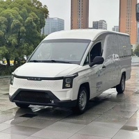 Offre Spéciale Véhicule d'occasion Wuling Lingshi Gold Warehouse 2024 Cargo EV Autonomie NEDC 201-300km Batterie LFP Moteur 50-100KW Faible Coût