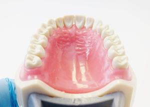 Gelsonlab HSDT-A10 estándar dientes desmontable modelo Dental suave goma de mascar dientes modelos de pantalla <span class=keywords><strong>para</strong></span> estudiantes de enseñanza estudio - Product Image 6