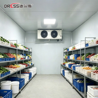 Congélateur à air pulsé -40°C ℃   Chambre froide pour poisson et viande, conteneur frigorifique, équipement de stockage frigorifique pour entreprises