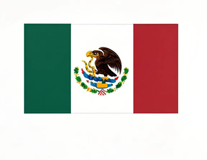 Services de fret aérien et logistique de Shenzhen, Chine vers <span class=keywords><strong>Paris</strong></span>, France, Sydney, Australie, Mexico, Mexico <span class=keywords><strong>City</strong></span> via Air+Express DDP - Product Image 3