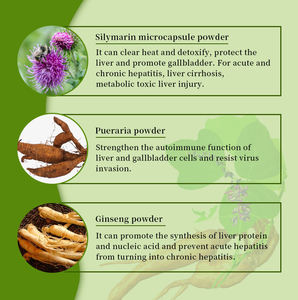 Gélules de Silymarine et Pueraria pour la Santé du Foie Comprimés à Base de Plantes 100% Naturels Marque Privée Complément Nutritionnel Quotidien - Product Image 5