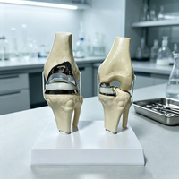 HZMIM PVC de alta calidad, Novedad 2025, Modelo de maniquí desmontable de doble articulación de rodilla plateada pequeña artificial para implantes y prótesis
