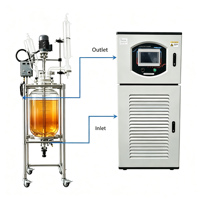 Bain thermostaté à basse température de laboratoire pour le refroidissement des chemises de réaction des réacteurs