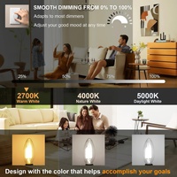 Lampes à filament LED C35 2W 4W 6W DC/AC 2700K Blanc chaud Dimmable E27 B22 E12 E17 Utilisation hôtelière 12v 24v 36v