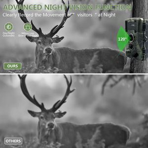 2025 điểm mới và bắn máy ảnh không thấm nước GSM báo động từ xa ngoài trời động vật hoang dã wifi an ninh HD Mini ẩn ngụy trang máy ảnh - Product Image 5