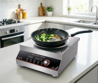 Kompor Induksi Komersial 6000W, Efisiensi Tinggi, Permukaan Cekung, Peralatan Dapur Profesional, Stainless Steel Heavy Duty