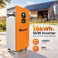 Système de stockage solaire tout-en-un Tewaycell 16 kWh Batterie + onduleur 5 kW 51,2 V 314 Ah Batterie LiFePO4 avec BMS/WIFI Équilibrage actif