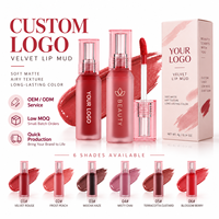 Teinte à lèvres veloutée longue tenue RTS 4ml, effet mat, 6 teintes, faible MOQ 2 pièces, vente en gros, logo personnalisé