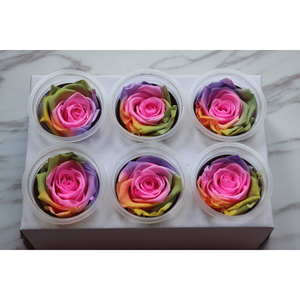 Fornitura diretta in fabbrica di Rose arcobaleno conservate Boutique di grado 5-6cm di Rose fresche belle piante di fiori conservati utilizzo della parete - Product Image 3