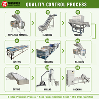 Productielijn voor uienpoeder, uienpelschilmachine, uien droogmachine, uien snijmachine, productielijn voor kruidenpoeder