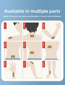 Patchs de Soin Corporel Thérapeutiques à Base de Médecine Traditionnelle Chinoise Zongyitang (6) - Autocollants de Soin Personnel Externes Chauffants Multi-Applications - Product Image 4