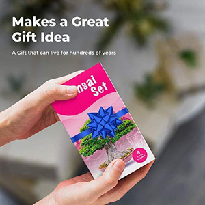 ชุดปลูกต้นบอนไซขนาดเล็ก8ต้นมีตราสินค้าสำหรับสวนของขวัญคริสต์มาส - Product Image 5