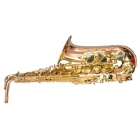 Professional Eb Alto Saxophone Phosphor Bronze Brass Instrument Gold Lacquer Finish With Case