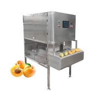 Elektrische Persimmon Ananas Mango Apple Dragon Fruit Tangerine Remover Uitboren Dunschiller Ananas Peeling Machine