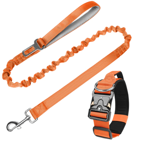 PUPE Best Selling Luxury Durable Strong Anti-Pull <b>Shock</b> Personalized Ribbon Nylon Pet <b>Collar</b> Elastic Colorful Dog Leash - Product Image 3