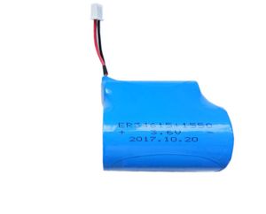 RUIZHI ER34615-2 + RHC 1550 3.6V 38Ah D 사이즈 리튬 배터리 팩 배터리 ER34615 - Product Image 2
