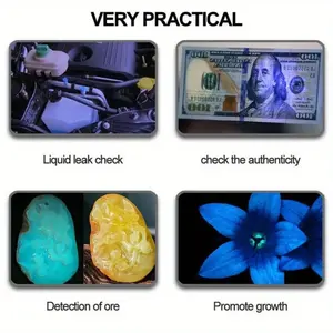 Détecteur polyvalent de taches et d'urine <span class=keywords><strong>poche</strong></span> UV365 UV395 lampe de <span class=keywords><strong>poche</strong></span> led mini lumière noire - Product Image 6