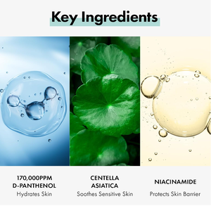 Gel <span class=keywords><strong>douche</strong></span> rafraîchissant à base <span class=keywords><strong>de</strong></span> plantes pour le corps des hommes <span class=keywords><strong>de</strong></span> 250ml avec des caractéristiques hydratantes <span class=keywords><strong>Mousse</strong></span> à bulles parfumée - Product Image 4